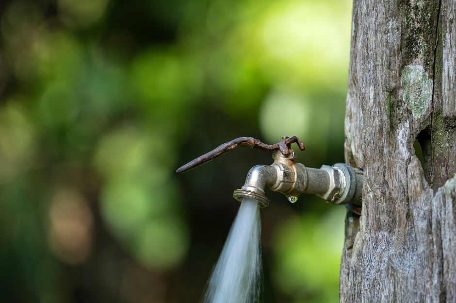 Water